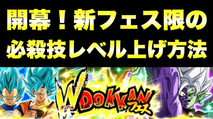 『ドッカンバトル　2719』Wドッカンフェス開幕へ！新フェス限の必殺技レベル上げ方法　時空超越キャンペーン　　【Dragon Ball Z Dokkan Battle】