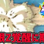 【ドッカンバトル】このナメック星人 極限したらぶっ壊れキャラになると思うんだ！【DragonBallZDokkanBattle】