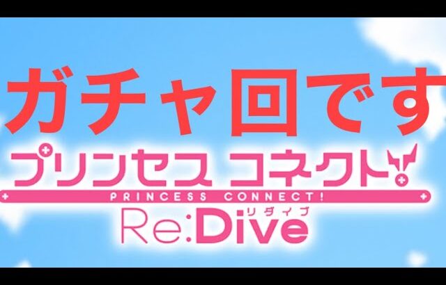 (プリコネR)サマーガチャ引こう｡結果は？