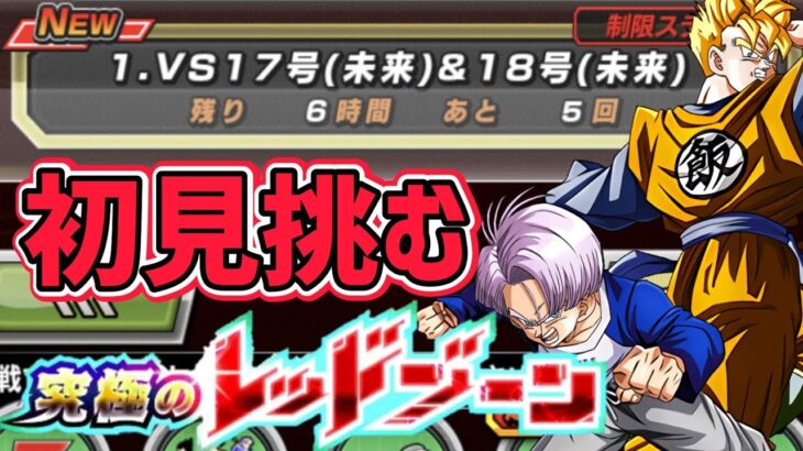 【ドッカンバトル】究極のレッドゾーン VS17号18号未来に対してはこの編成やろ！？【DragonBallZDokkanBattle】