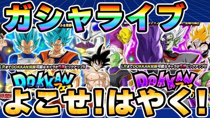 Wドッカンフェス！夏CPガシャやるぞー！　ドッカンバトル生放送　LIVE【ドッカンバトル】 Dragon Ball Z Dokkan Battle