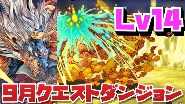 【シヴァドラ】9月クエストダンジョンLv14クリア編成紹介！！【パズル&ドラゴンズ】