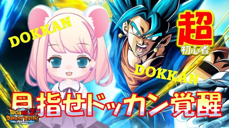 ③ドッカンバトル初心者プレイ　DOKKAN覚醒目指す【ドラゴンボール】【ドッカンバトル】