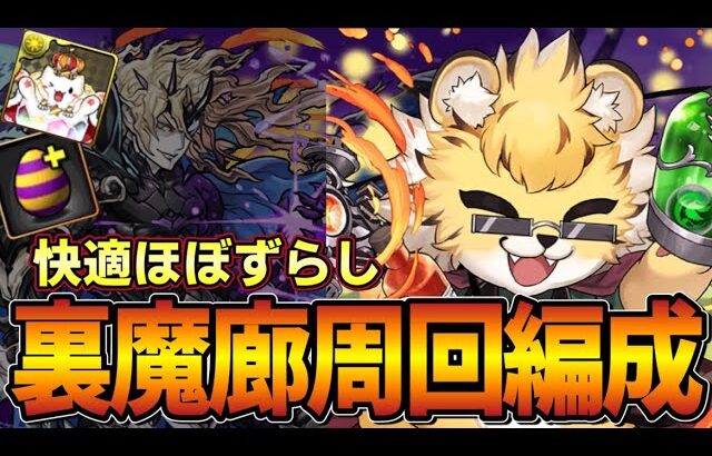 【パズドラ】裏魔郎ベルガー周回編成‼︎超快適楽々周回‼︎【パズドラ実況】