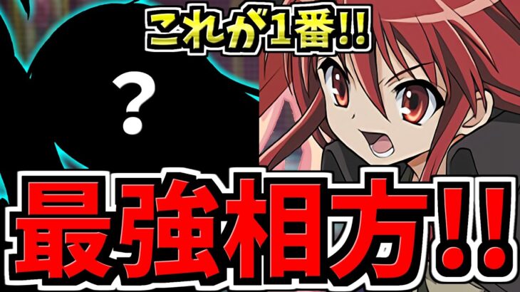 【環境最強の相方】結局シャナの最強相方は○○！テンプレ編成・代用・立ち回り解説！デッカーじゃない！電撃文庫コラボ【パズドラ】