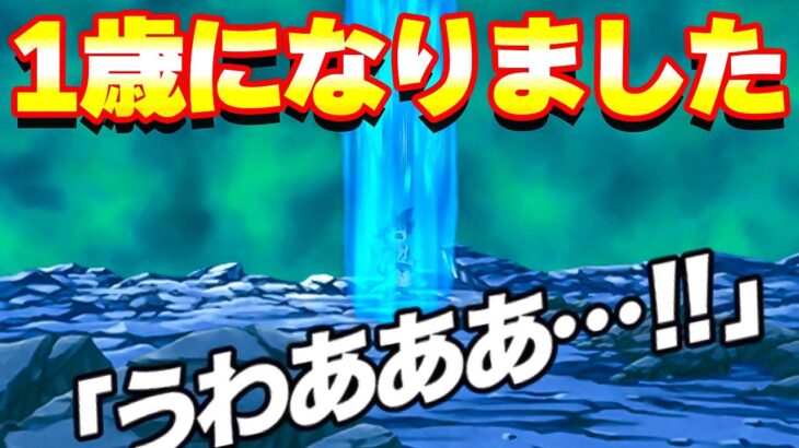 このパーティ好き 最強悟空が1歳になりました！【ドッカンバトル】