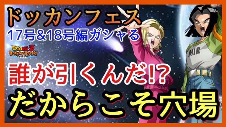 【ドッカンバトル】ガチャる！全く欲しくない！17号＆18号ねらってドッカンフェスいっちょやってみっか！【Dragon Ball Z Dokkan Battle】