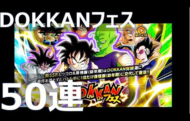 【ドッカンバトル】DOKKANフェス 50連ガシャ｜ DRAGON BALL Z DOKKAN BATTLE GACHA SSR ピッコロ&孫悟飯(幼年期)