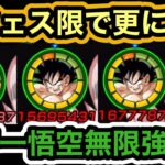 【ドッカンバトル】サポート増し増し‼︎天下一悟空の更なる強化がくる【Dragon Ball Z Dokkan Battle】