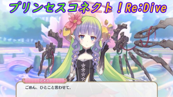 【プリコネR】誰でも家に連れ込む騎士君を心配するアメス様ｗ [Princess Connect!Re:Dive]