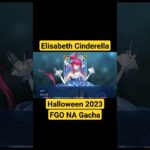 SR 4⭐ ELISABETH CINDERELLA Gacha – Fate/Grand Order NA #fgo #shorts