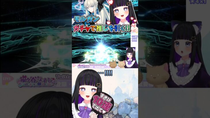 【 #配信切り抜き 】推しを前にニャースになるVtuber #FGO #ガチャ #shorts