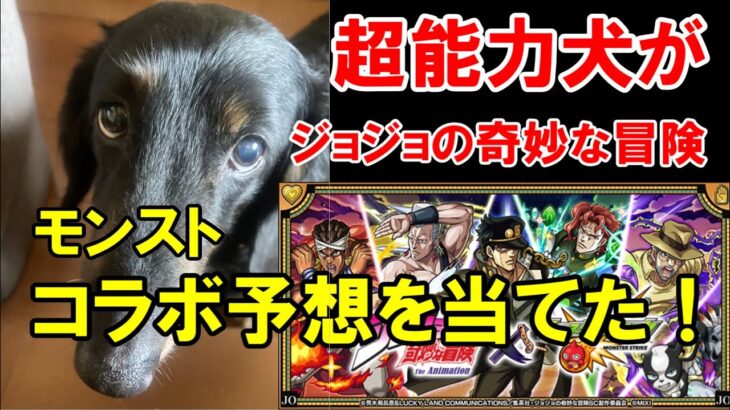 【モンスト】未来を予知する犬がモンスターストライクのジョジョの奇妙な冒険コラボを的中させた！