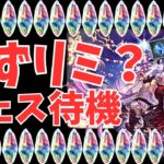 【グラブル】古戦場vsクリスマス年末年始あるし貯めたい軸( ◠‿◠ )