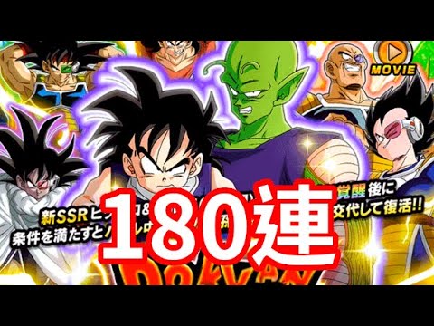 ピッコロ & 孫悟飯 (幼年期) 180連 ガシャ Piccolo & Gohan (kid) 180 Summonsドッカンバトル Dokkan Battle 龍珠Z爆裂激戰