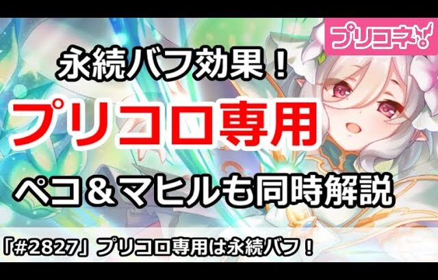 【プリコネ】プリコロ専用は永続バフ効果！ペコ＆マヒル専用2も同時解説【プリンセスコネクト！】