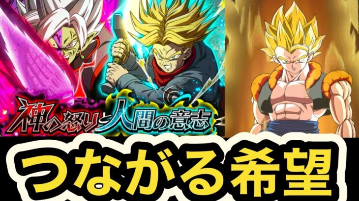 【ドッカンバトル】ファンミーティングへの道‼︎ラストはつながる希望縛りミッション攻略‼︎ 【Dragon Ball Z Dokkan Battle】