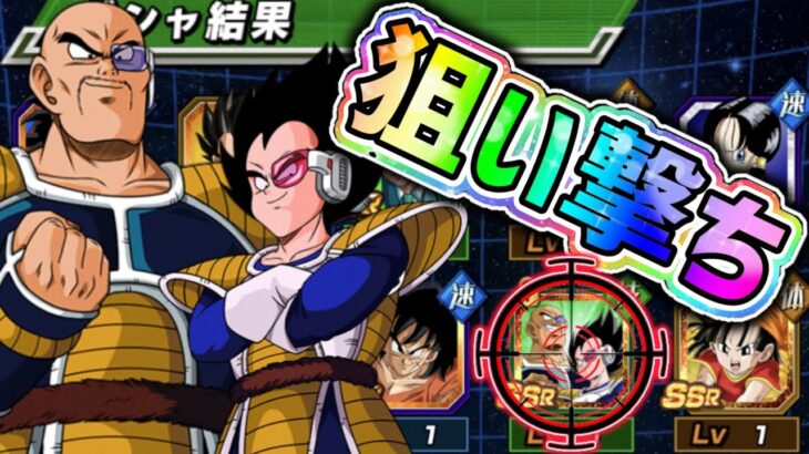 【ドッカンバトル】ベジータ＆ナッパを狙い撃ち！初見使ってみた！【DragonBallZDokkanBattle】