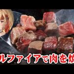 【グラブル】水古戦場 肉集め フルファイアで肉を焼く！（グラッジチャンク）（EX+）「グランブルーファンタジー」