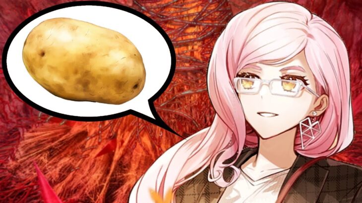 [FGO] Potato_Damage.mp4