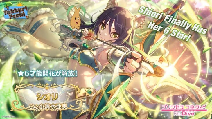 [Princess Connect Re:Dive] Shiori Finally Has Her 6 Star! How Good Is It?