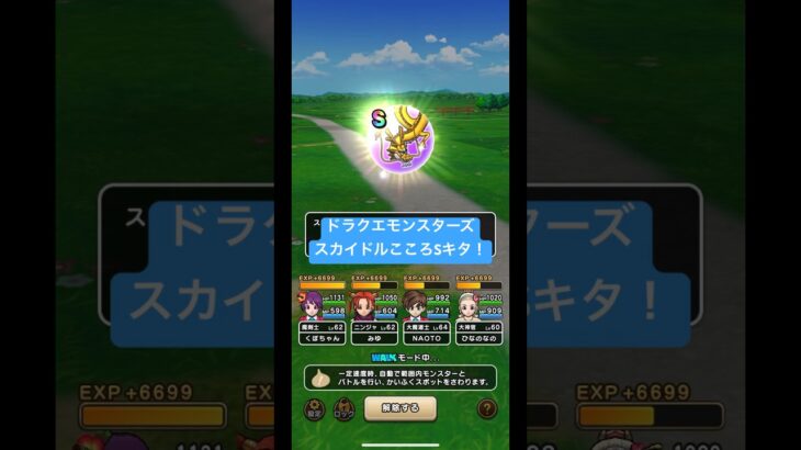 ドラクエウォーク【ドラクエモンスターズ】【スカイドル】こころSキタ‼️【ドラゴンクエストウォーク】【DQW】