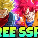 THANK YOU *FREE* SSR GIFT CARDS!! Which Units Should You Choose? 2023 | Dragon Ball Z Dokkan Battle