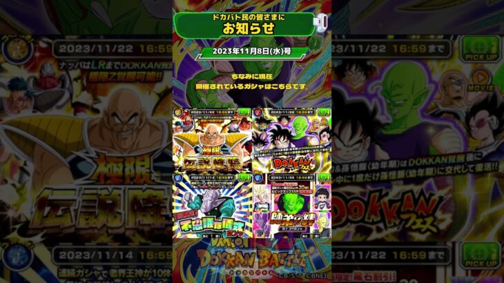 【ドッカンバトル】定時お知らせ  #ドカバト#ドッカン#ドッカンバトル#ドラゴンボール#dokkanbattle ‘shorts@ドッカンバトル59ch