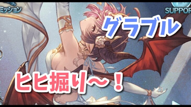 【グラブル】四象降臨のスキンが欲しい！