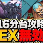 【世界最速】12月クエストLVEXを”16分”で攻略！これが最強です！立ち回り解説【パズドラ】