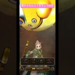 【ドラクエウォーク】朝かられんごくまちょう討伐‼️【ドラゴンクエストウォーク】【DQW】