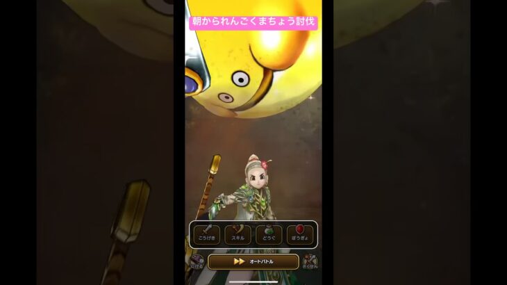 【ドラクエウォーク】朝かられんごくまちょう討伐‼️【ドラゴンクエストウォーク】【DQW】