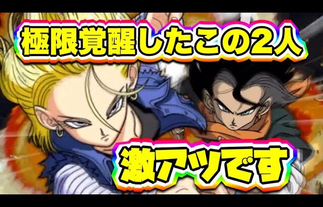 【ドッカンバトル】極限覚醒した姉弟が激アツ！？未来で組み合わせると超革命！？【DokkanBattle】