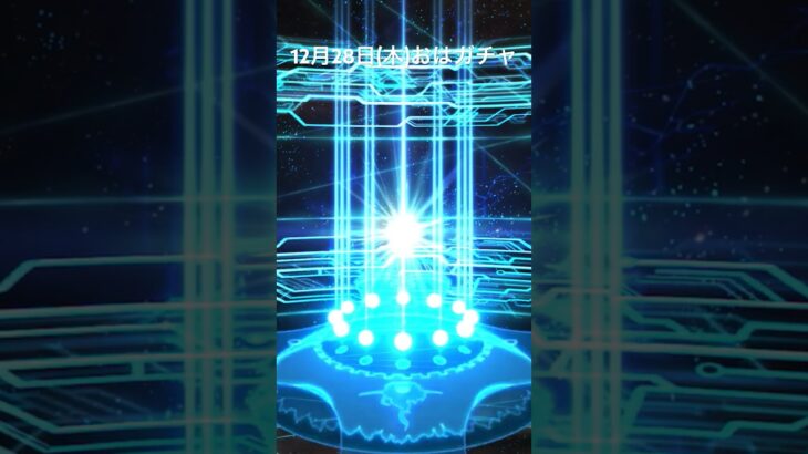 【FGO】12月28日(木)おはがちゃ【Fate/Grand Order】