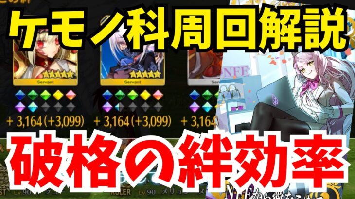 【FGO】1周で絆6000超え！？新マナプリ礼装「NFFから愛をこめて」を活用したケモノ科周回を解説！おすすめ編成例も紹介【Fate/Grand Order】