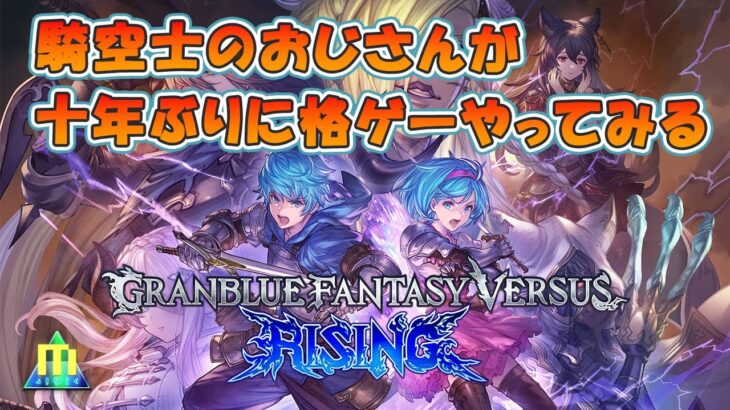 【グラブル】反射神経の衰えたおじさんが十年ぶりに格ゲーをするとどうなるのかに関する社会的テスト【グランブルーファンタジーヴァーサス -ライジング-（GBVSR）】