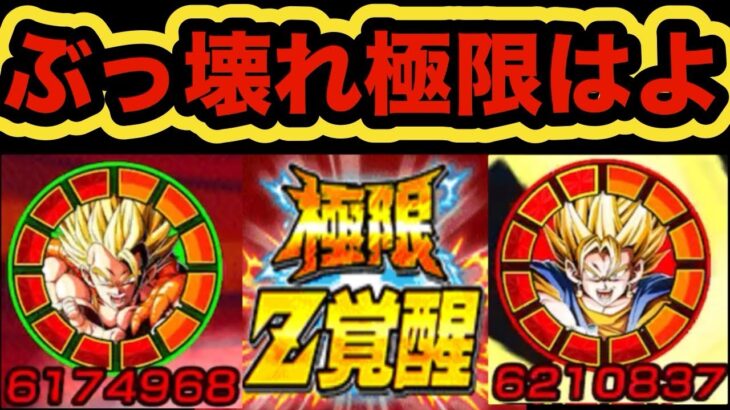 【ドッカンバトル】LR超ゴジータとLR超ベジットの極限が楽しみすぎる‼︎ 【Dragon Ball Z Dokkan Battle】