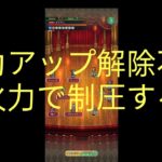 【ロマサガRS】五つ目のバトルメモリーのクリア動画(鬼八版)