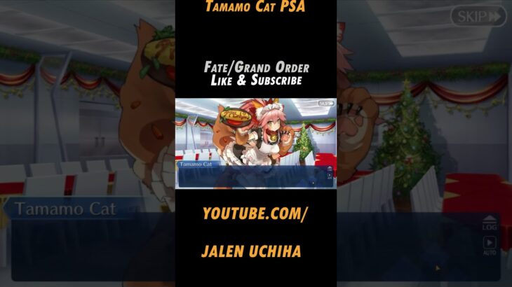 Tamamo Cat PSA #fate #fategrandorder #fgo #tamamo cat #jalen uchiha #shorts