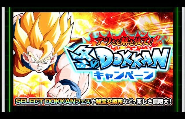 ドラゴンボールZ・ドッカンバトル【アツさを解き放て!冬のドッカンキャンペーン】