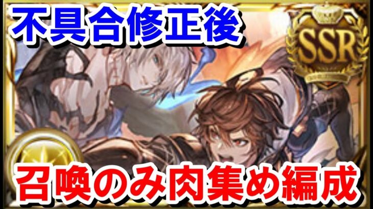 【多様性】 えー、不具合修正後でもトリプルゼロ召喚「のみ」で全属性の肉集め編成を組めてしまった 【ゆっくり解説/グラブル】