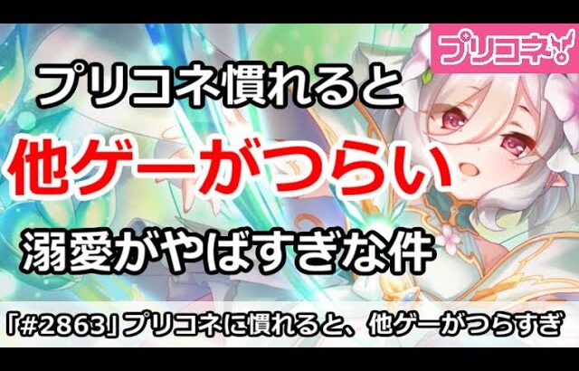 【プリコネ】プリコネをやると他のゲームがつらい！溺愛っぷりがやばすぎる件【プリンセスコネクト！】