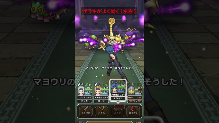 【ドラクエウォーク】衝撃！さそりアーマー（強）ザラキが有効です【ドラゴンクエストウォーク】【ほこら】