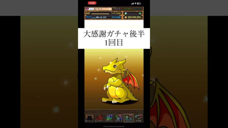 【パズドラ】大感謝ガチャ後半引いてみた！