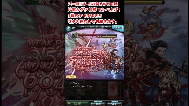 【グラブル】パー剣1本、ミカ斧1本でゲージ3でレベル上げ！【GBF】 Arcarum Sandbox leveling