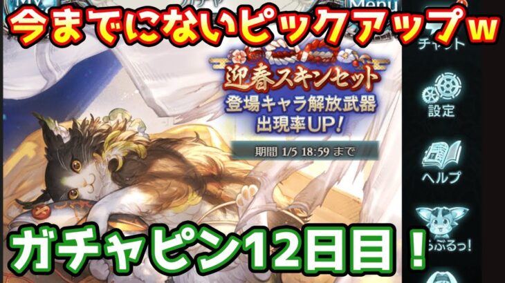 【グラブル】ついにレジェフェスも終了！初めてのピックアップ内容なガチャピン期間12日目！