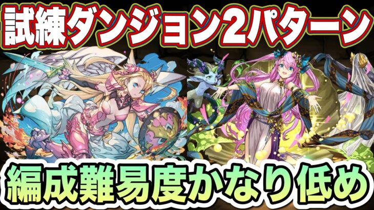 【パズドラ】この2体はかなり強いので所持者は絶対に作りましょう！試練ダンジョン