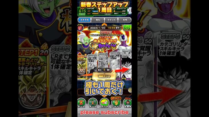 【ドッカンバトル】2024年 新春極DOKKANフェス 1周目【DRAGON BALL】