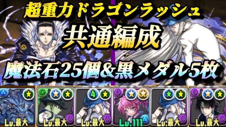 【パズドラ】カイト×クロロ　魔法石25個&黒メダル5枚！超重力ドラゴンラッシュ！共通テンプレ