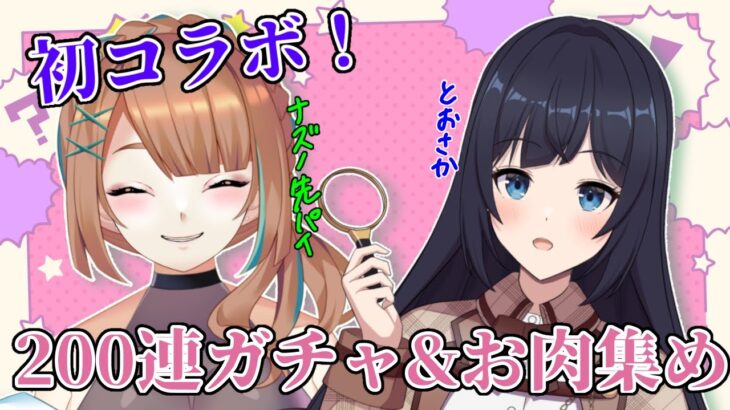 【 🔰グラブル初心者　46日目 / 新人Vtuber 】ナズノ先輩と初コラボ❗実質400連ガチャ引いて雑談周回【 ここもの2.5期生 / 遠坂和泉】